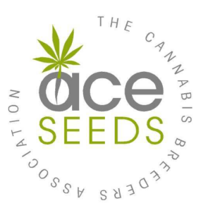 Haze x Kali China Feminised Cannabis Seeds | Ace Seeds
