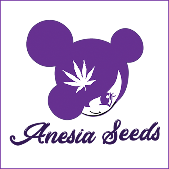 The Sin Feminised Cannabis Seeds - Anesia Seeds - Discount Cannabis Seeds