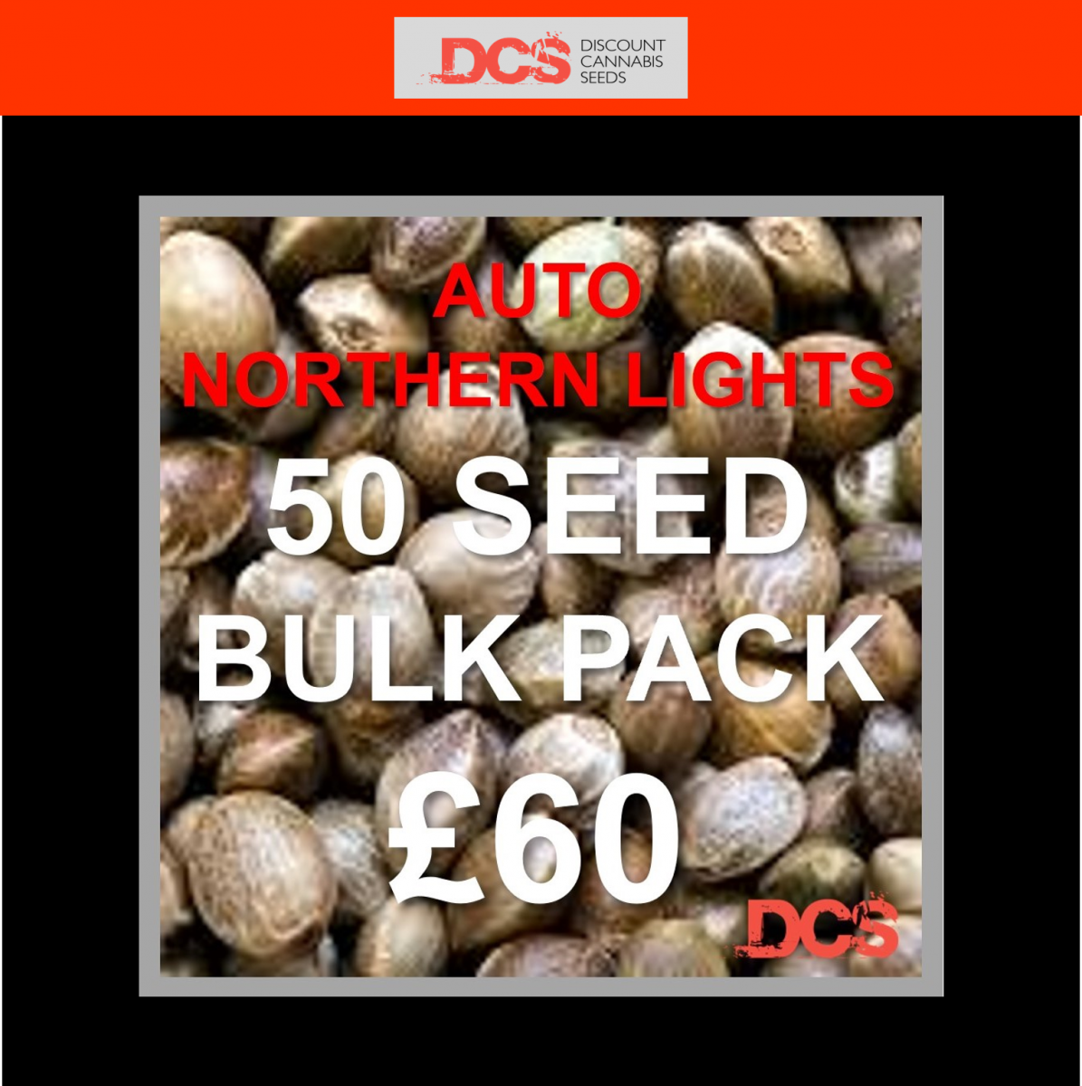 Bulk Cannabis Seeds Get 50 Seeds for £60 at Discount Cannabis Seeds.