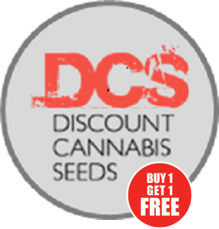The Future - Discount Cannabis Seeds