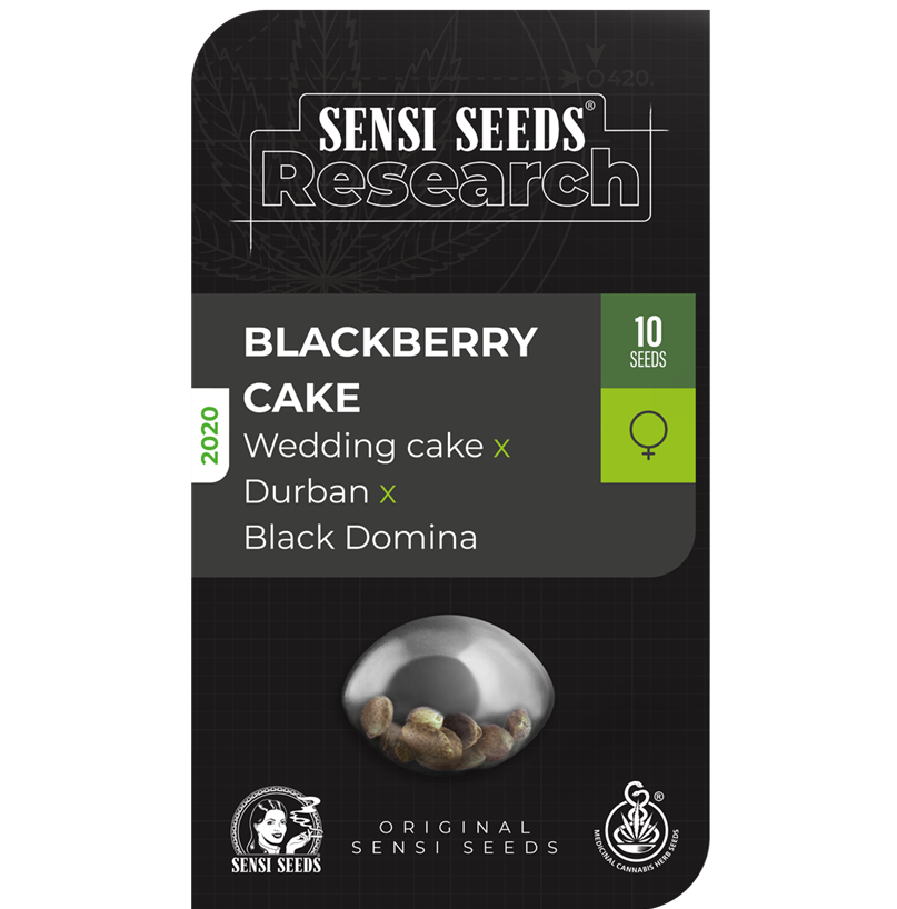 Sensi Seeds Research - Blackberry Cake
