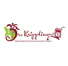 Banana Rapids Feminised Cannabis Seeds | Dr Krippling