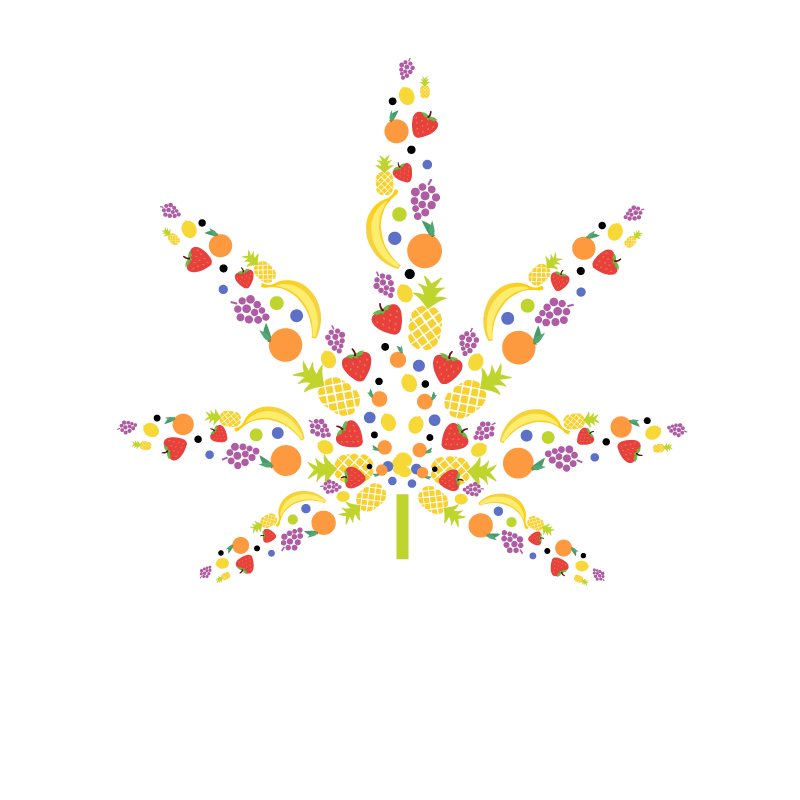 Sherblato Feminised Cannabis Seeds - Flavour Chasers