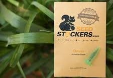 Seed Stockers | Discount Cannabis Seeds