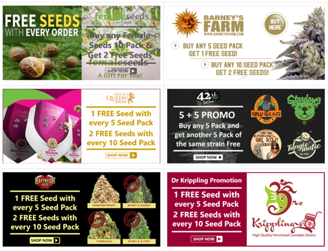 Promotions and Special Offers - Discount Cannabis Seeds