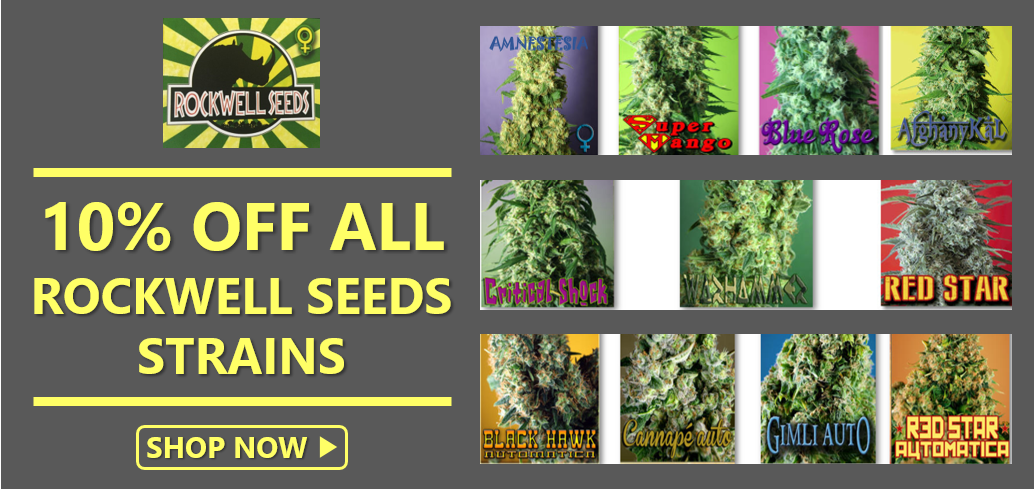 Rockwell Seeds Promotion - Discount Cannabis Seeds