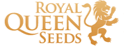 Royal CBG Auto Feminised Cannabis Seeds | Royal Queen Seeds