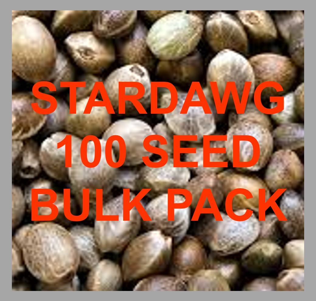 Stardawg Bulk Seeds - Discount Cannabis Seeds