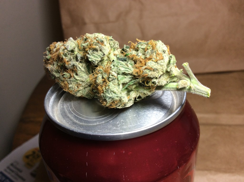 Heavyweight Seeds - Discount Cannabis Seeds