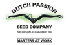 Auto Oh My Gusher Feminised Cannabis Seeds | Dutch Passion