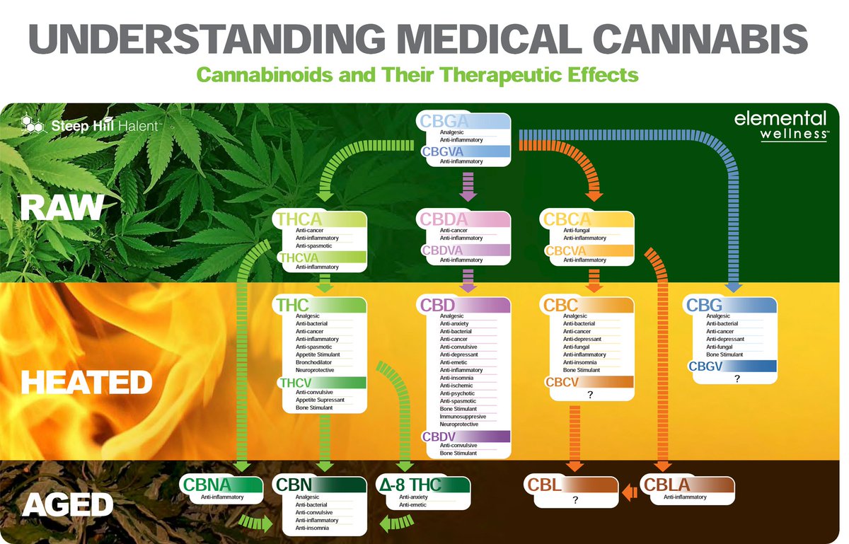 The Ultimate Guide to Medical Cannabis Seeds - Discount Cannabis Seeds.
