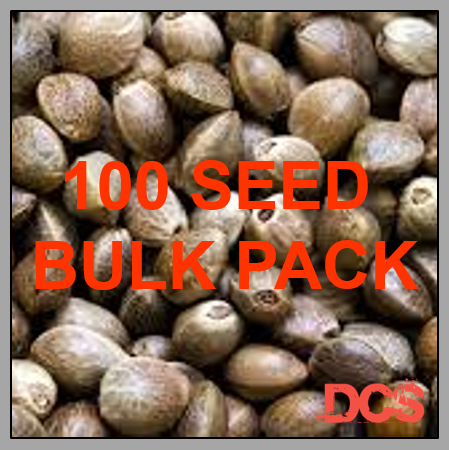 Wedding Cake - Discount Cannabis Seeds