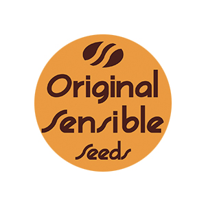 Jealousy Feminised Cannabis Seeds | Original Sensible Seeds