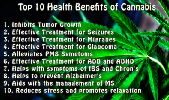 Health Benefits of Weed - Discount Cannabis Seeds