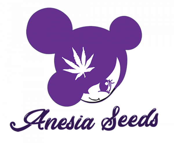 Best Deals on Anesia Seeds Cannabis Seeds at Discount Cannabis Seeds
