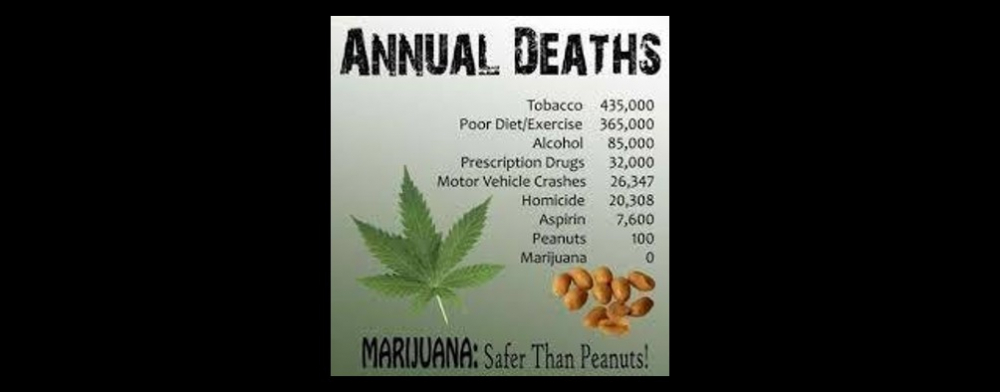 Smoking Weed - Discount Cannabis Seeds