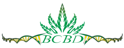 Tuna God - BC Bud Depot - Discount Cannabis Seeds