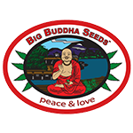 Explore the World of Discount Buddha Seeds Cannabis Seeds