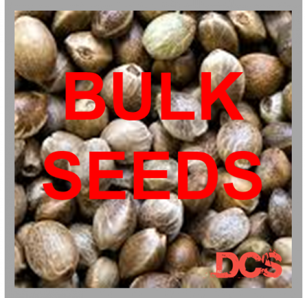 Cannabis Seeds: Get 100 Seeds for £100 at Discount Cannabis Seeds