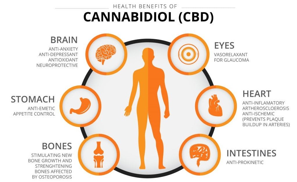 Benefits of CBD - Discount Cannabis Seeds