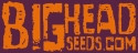 New Big Head Seeds Strains at Discount Cannabis Seeds
