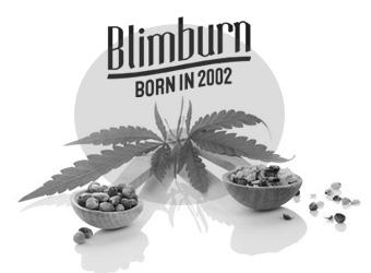Buy Blimburn Cannabis Seeds at Discount Cannabis Seeds