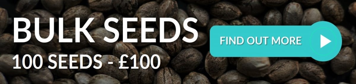 Bulk Seeds - Discount Cannabis Seeds