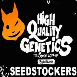 New Seed Stockers strains from Discount Cannabis Seeds