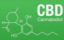CBD - Discount Cannabis Seeds