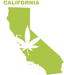 California legalises cannabis – The UK Next?