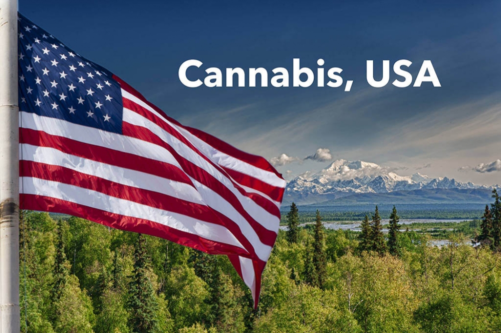 The USA Cannabis Industry - Discount Cannabis Seeds