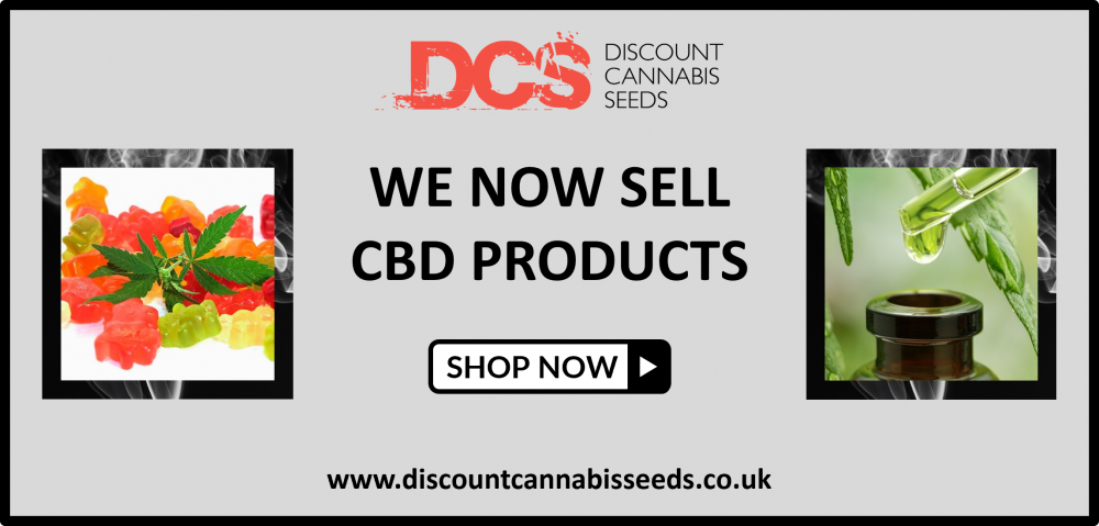 CBD Products from Discount Cannabis Seeds