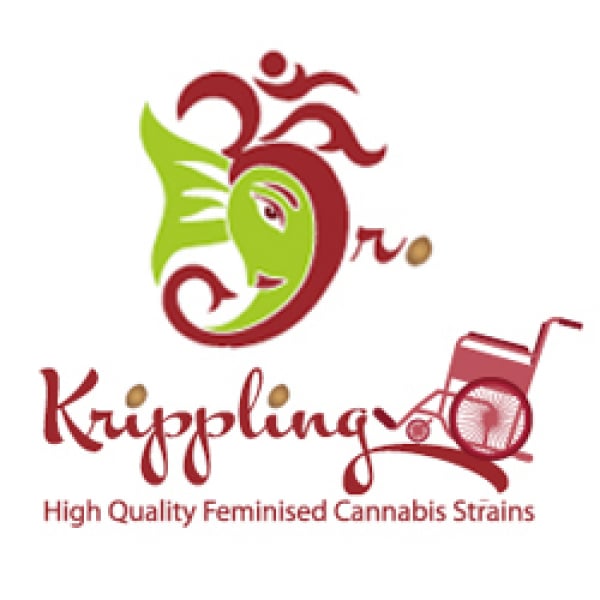 Dr Krippling Cannabis Seeds at Discount Cannabis Seeds.