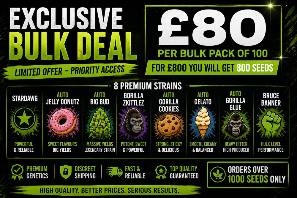 EXCLUSIVE CANNABIS SEEDS BULK DEAL £80 PER 100 PACKS FOR £800.
