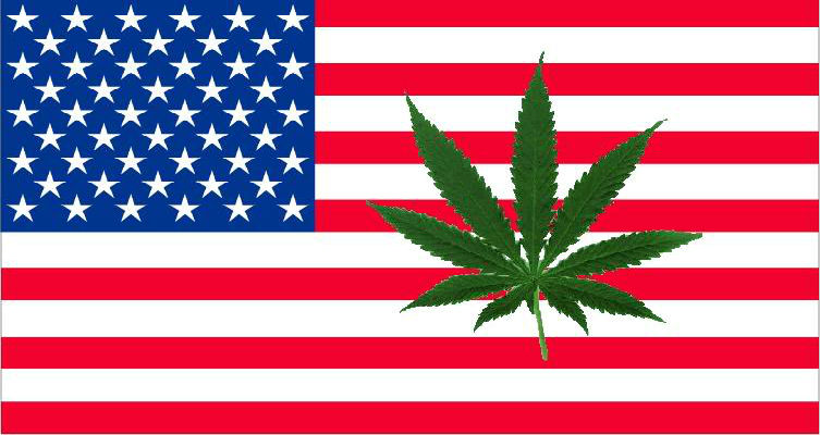 Federal Cannabis Reform in the USA - Discount Cannabis Seeds