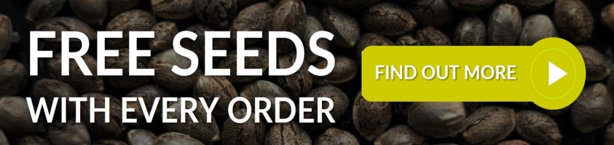 Free Seeds - Discount Cannabis Seeds