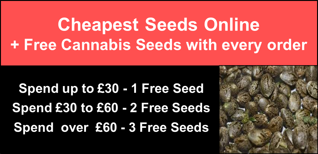 Free Cannabis Seeds with every order