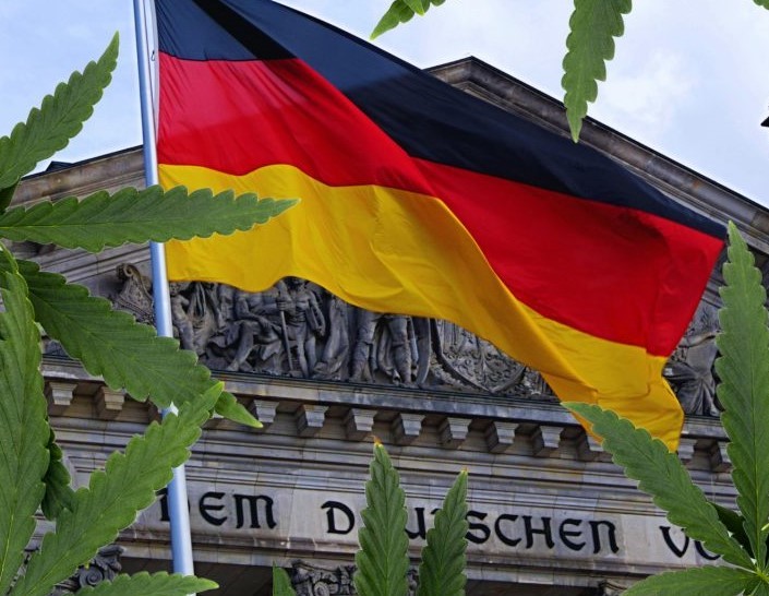 Germany Legalises Cannabis - Discount Cannabis Seeds