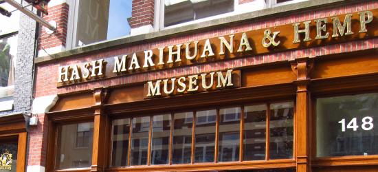 Hash Marihuana & Hemp Museum Amsterdam | Discount Cannabis Seeds