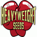 Heavyweight Seeds Strain Reviews - Discount Cannabis Seeds