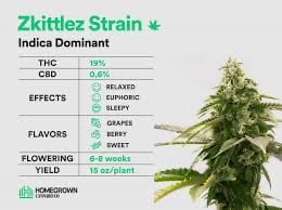 Cannabis Seeds The Zkittlez Strain - Discount Cannabis Seeds.