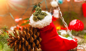 Cannabis Seeds - Humboldt Strains Christmas - Discount Cannabis Seeds.