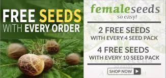 Discount Cannabis Seeds
