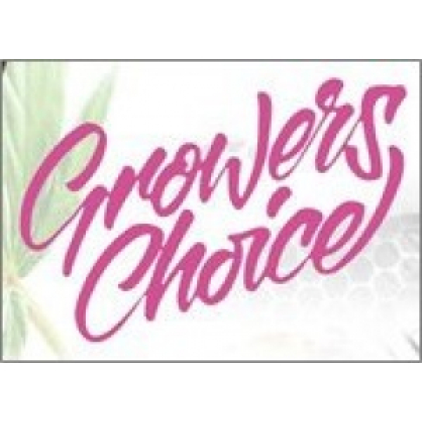 Stocking Fillers Cannabis Seeds by Growers Choice - Discount Cannabis Seeds.