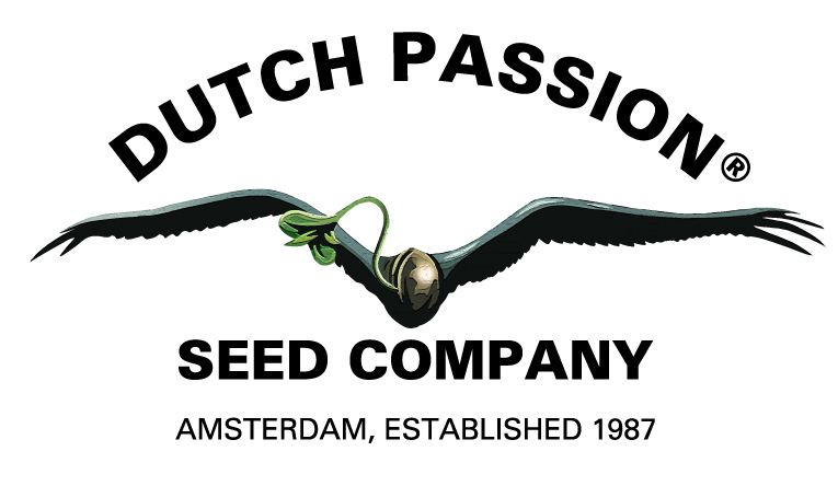 Cannabis Seeds The Top Strains By Dutch Passion - Discount Cannabis Seeds.