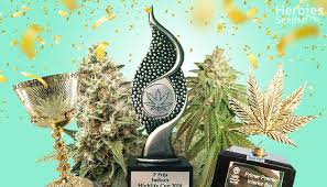 Cannabis Seeds Cup Winning Strains By Barneys Farm - Discount Cannabis Seeds.