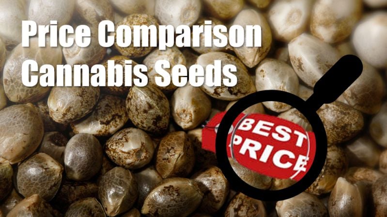 Cannabis Seeds Price Comparison - Discount Cannabis Seeds