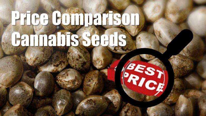 Price Comparison - Discount Cannabis Seeds
