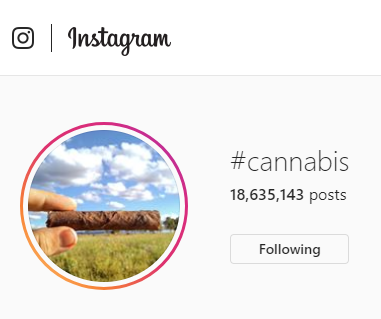 Instagram - Discount Cannabis Seeds