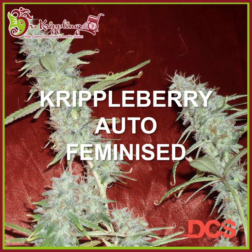 Krippleberry Auto - Dr Krippling - Discount Cannabis Seeds